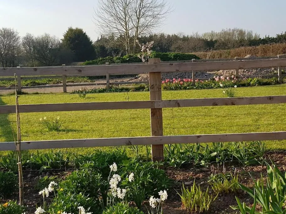 Sweet Meadow Lodge Exeter United Kingdom